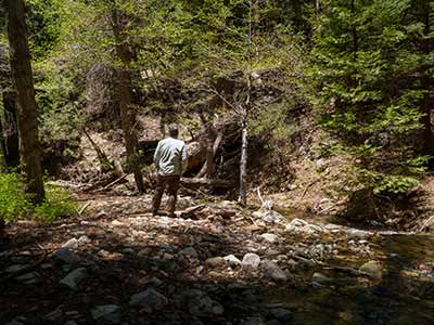 A Solo Backpacking Journey to Alger Creek