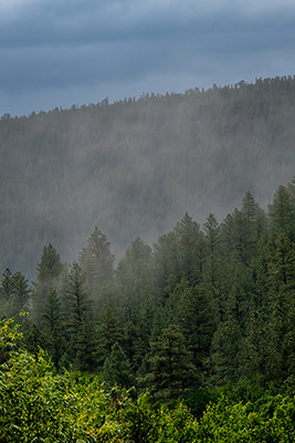 Hiking the trails in Coyote Creek State Park